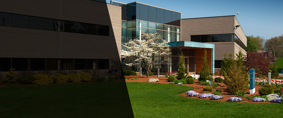 Canton Landscapers