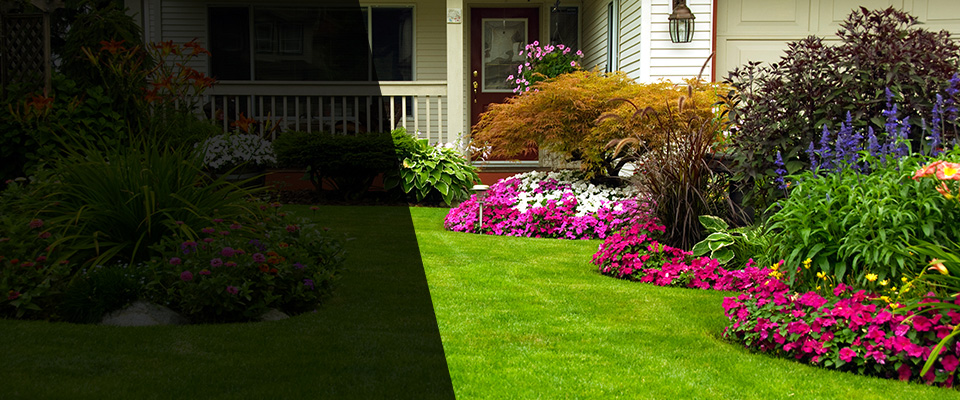 Canton Landscapers